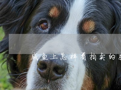 咸鱼上怎样看拍卖的东西 咸鱼上怎样看拍卖的东西