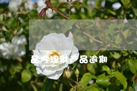 品今理财产品逾期 品今理财产品逾期