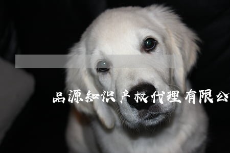 品源知识产权代理有限公司怎么样 品源知识产权代理有限公司怎么样