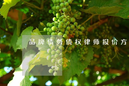 品牌债务债权律师报价方案 品牌债务债权律师报价方案