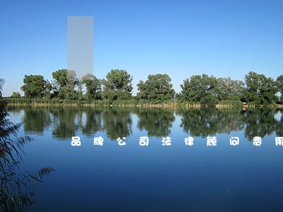品牌公司法律顾问费用 品牌公司法律顾问费用