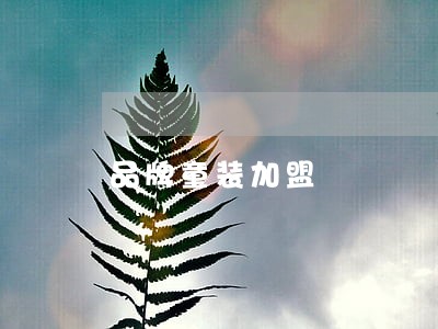 品牌童装加盟 品牌童装加盟
