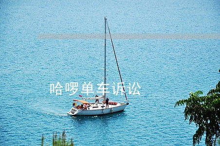 哈啰单车诉讼 哈啰单车诉讼