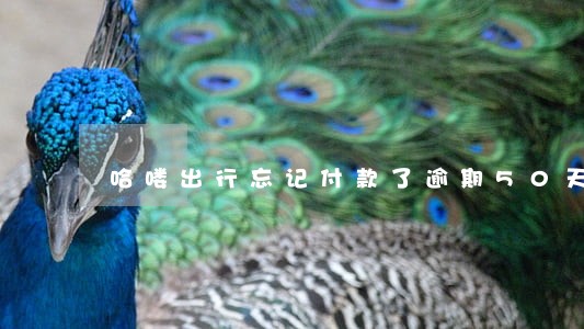 哈喽出行忘记付款了逾期50天 哈喽出行忘记付款了逾期50天
