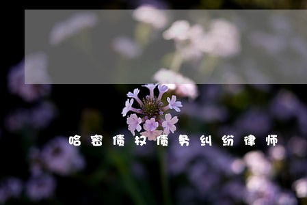 哈密债权债务纠纷律师 哈密债权债务纠纷律师