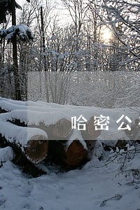 哈密公在线律师 哈密公在线律师