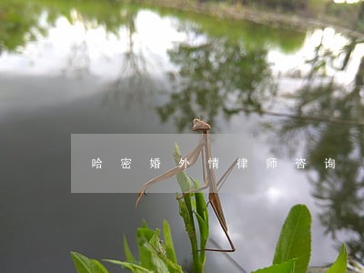 哈密婚外情律师咨询 哈密婚外情律师咨询