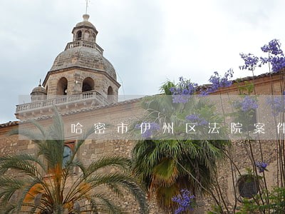 哈密市伊州区法院案件查询 哈密市伊州区法院案件查询