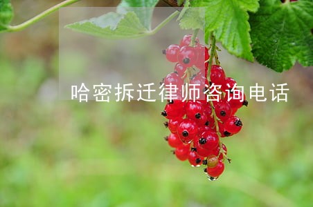 哈密拆迁律师咨询电话 哈密拆迁律师咨询电话