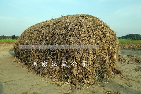哈密法院公示 哈密法院公示