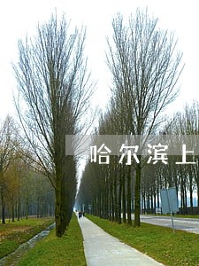 哈尔滨上海奉贤合同纠纷律师 哈尔滨上海奉贤合同纠纷律师