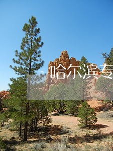 哈尔滨专业刑事二审律师咨询电话 哈尔滨专业刑事二审律师咨询电话