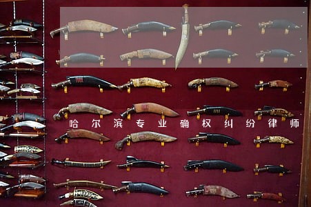 哈尔滨专业确权纠纷律师 哈尔滨专业确权纠纷律师