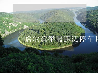 哈尔滨举报违法停车打多少电话 哈尔滨举报违法停车打多少电话