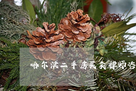 哈尔滨二手房买卖律师咨询