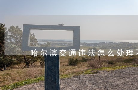 哈尔滨交通违法怎么处理不扣分