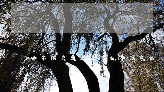 哈尔滨交通违法手机举报电话 哈尔滨交通违法手机举报电话