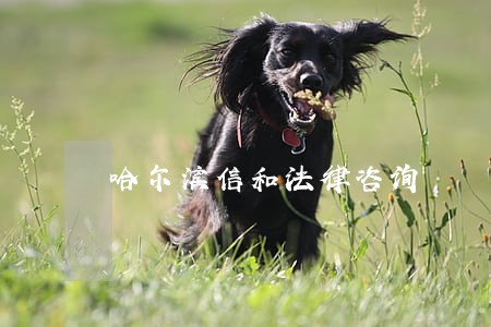 哈尔滨信和法律咨询 哈尔滨信和法律咨询