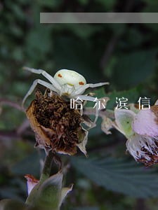 哈尔滨信用卡逾期1年会怎样 哈尔滨信用卡逾期1年会怎样