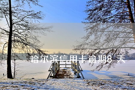 哈尔滨信用卡逾期8天 哈尔滨信用卡逾期8天