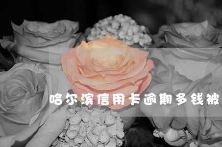 哈尔滨信用卡逾期多钱被起诉 哈尔滨信用卡逾期多钱被起诉