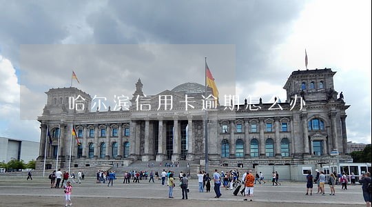 哈尔滨信用卡逾期怎么办 哈尔滨信用卡逾期怎么办