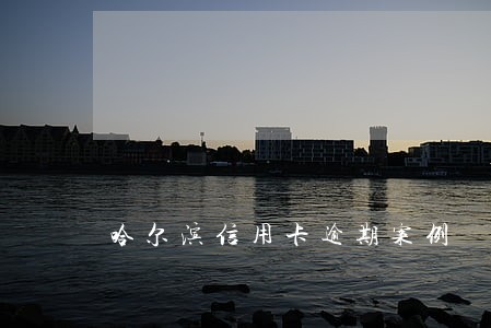 哈尔滨信用卡逾期案例 哈尔滨信用卡逾期案例