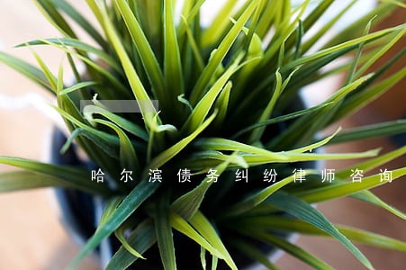 哈尔滨债务纠纷律师咨询 哈尔滨债务纠纷律师咨询