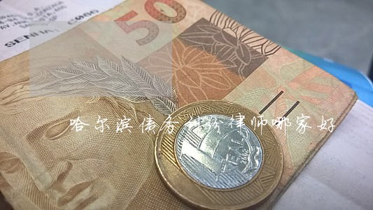 哈尔滨债务纠纷律师哪家好 哈尔滨债务纠纷律师哪家好