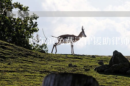 哈尔滨免费法律援助律师 哈尔滨免费法律援助律师