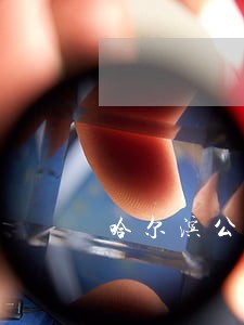 哈尔滨公司破产清算律师费用 哈尔滨公司破产清算律师费用