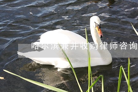 哈尔滨兼并收购律师咨询电话