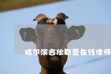 哈尔滨合伙联营在线律师咨询 哈尔滨合伙联营在线律师咨询