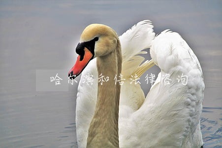 哈尔滨和信法律咨询 哈尔滨和信法律咨询