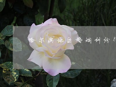 哈尔滨地区婚姻纠纷律师网站 哈尔滨地区婚姻纠纷律师网站