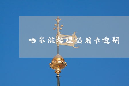 哈尔滨处理信用卡逾期 哈尔滨处理信用卡逾期