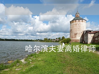 哈尔滨夫妻离婚律师 哈尔滨夫妻离婚律师