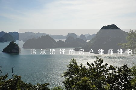 哈尔滨好的房产律师排名 哈尔滨好的房产律师排名