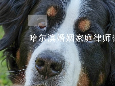 哈尔滨婚姻家庭律师咨询电话 哈尔滨婚姻家庭律师咨询电话
