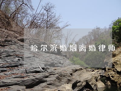 哈尔滨婚姻离婚律师 哈尔滨婚姻离婚律师