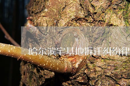 哈尔滨宅基地拆迁纠纷律师 哈尔滨宅基地拆迁纠纷律师