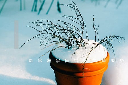哈尔滨家庭婚姻律师服务