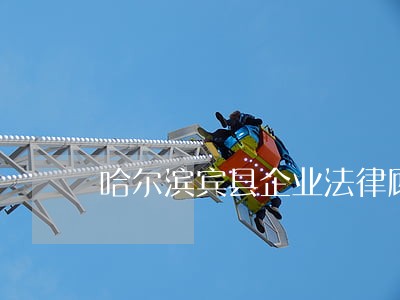 哈尔滨宾县企业法律顾问 哈尔滨宾县企业法律顾问