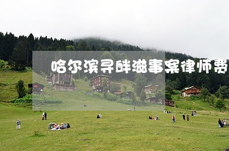哈尔滨寻衅滋事案律师费用标准 哈尔滨寻衅滋事案律师费用标准