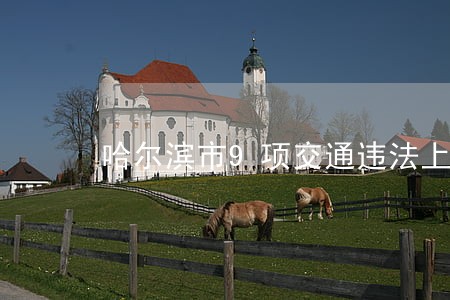 哈尔滨市9项交通违法上限处罚 哈尔滨市9项交通违法上限处罚
