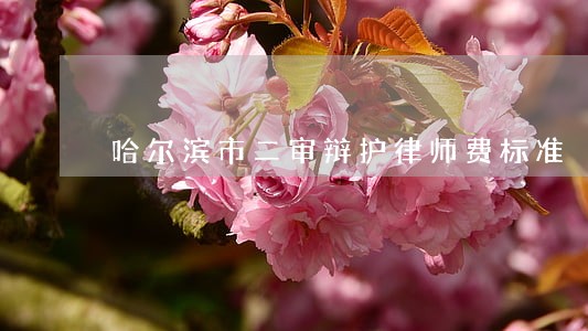 哈尔滨市二审辩护律师费标准 哈尔滨市二审辩护律师费标准