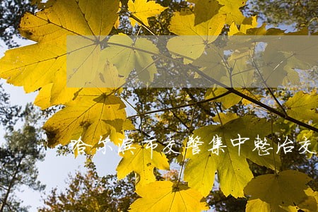 哈尔滨市交警集中整治交通违法 哈尔滨市交警集中整治交通违法