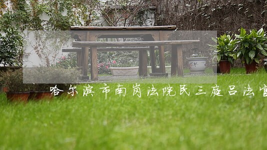 哈尔滨市南岗法院民三庭吕法官 哈尔滨市南岗法院民三庭吕法官