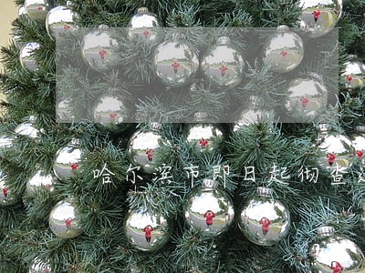 哈尔滨市即日起彻查违法建筑 哈尔滨市即日起彻查违法建筑