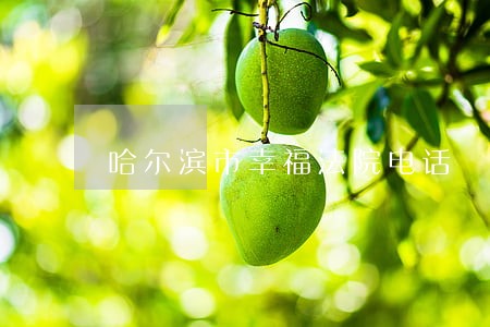 哈尔滨市幸福法院电话